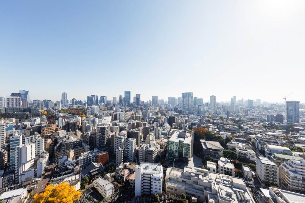 元麻布ヒルズ フォレストタワーの写真 眺望（居室から）