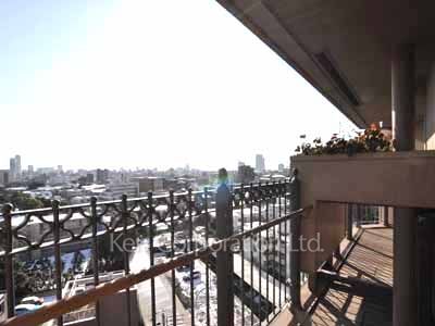 元麻布ヒルズ フォレストタワーの写真 バルコニー