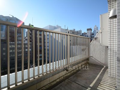 カスタリアお茶の水の写真 ルーフバルコニー