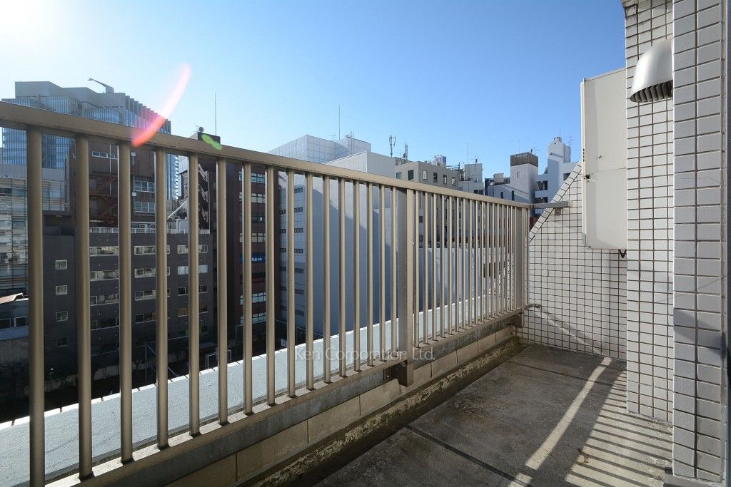 カスタリアお茶の水の写真 ルーフバルコニー