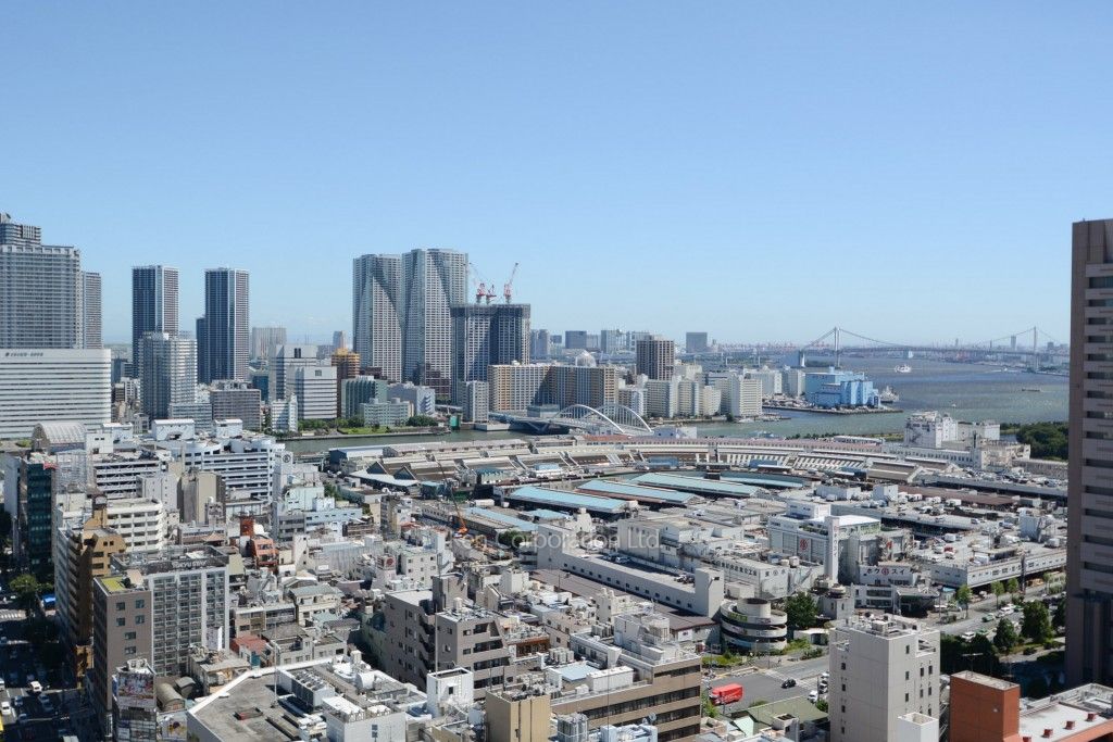 松竹スクエアレジデンスの写真 眺望