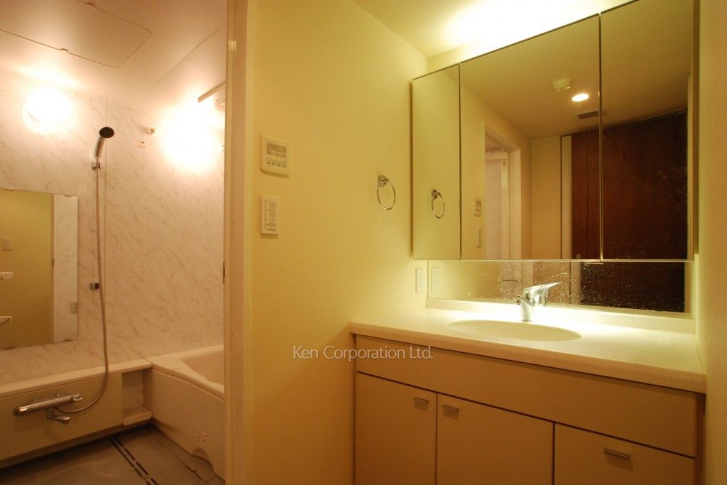 ラ・トゥール神楽坂の写真 パウダールーム ※3階の同じ間取タイプを撮影。仕様が異なることがあります。