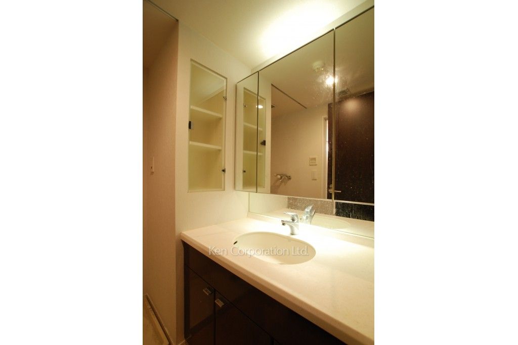 ラ・トゥール神楽坂の写真 パウダールーム ※2階の同じ間取タイプを撮影。仕様が異なることがあります。