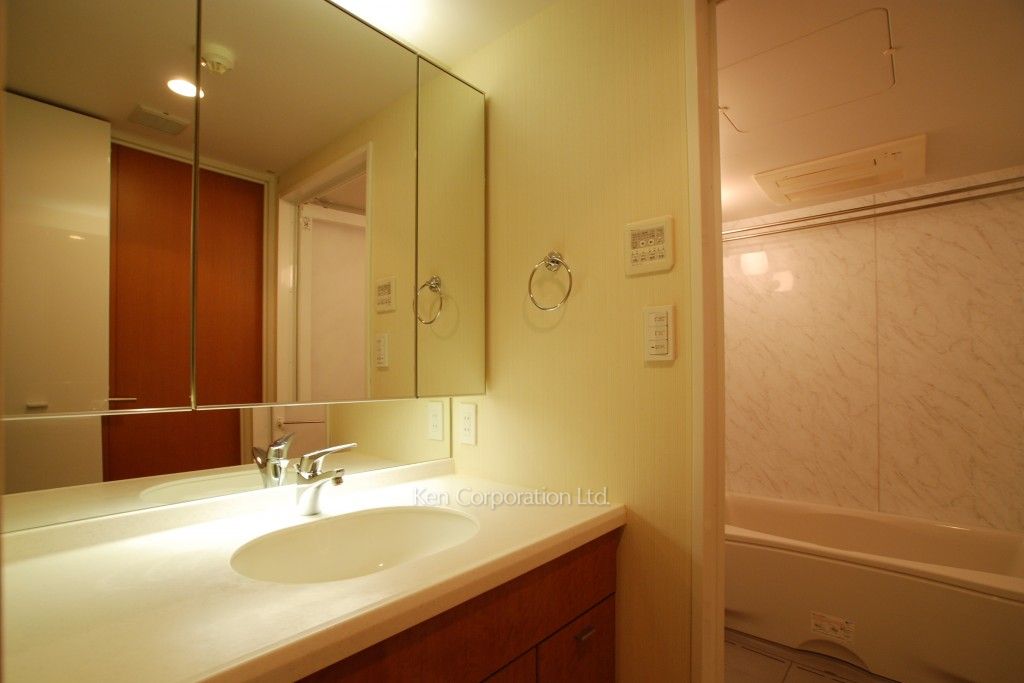 ラ・トゥール神楽坂の写真 パウダールーム ※4階の同じ間取タイプを撮影。仕様が異なることがあります。