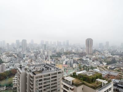 六本木ヒルズレジデンスの写真 眺望（居室から）