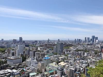 六本木ヒルズレジデンスの写真 眺望（居室から）