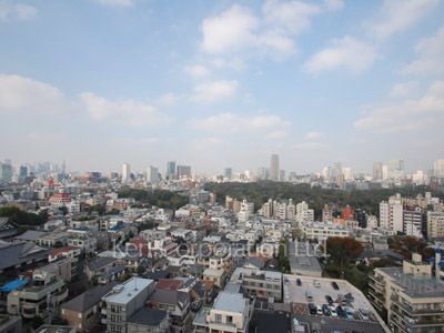 ドゥーエ西麻布Ⅰの写真 眺望（居室から）