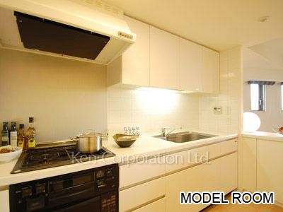 ドゥーエ西麻布Ⅰの写真 キッチン