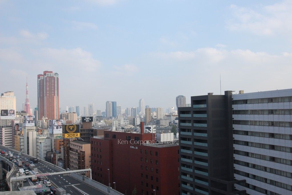 ドゥーエ西麻布Ⅰの写真 眺望（居室から）