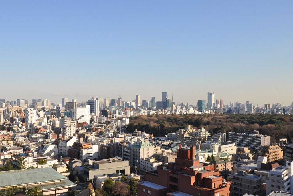 フォレストタウン参宮橋の写真 眺望（居室から）