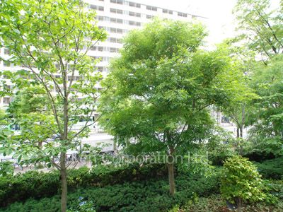 品川Vタワー テラス棟の写真 眺望（居室から）