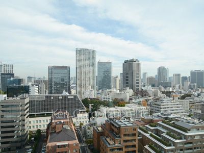 青山第一マンションズの写真 眺望