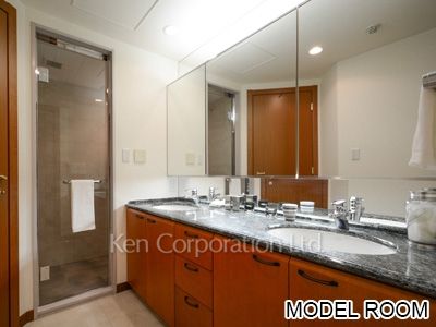 青山第一マンションズの写真 パウダールーム