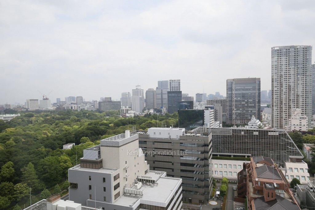 青山第一マンションズの写真 眺望