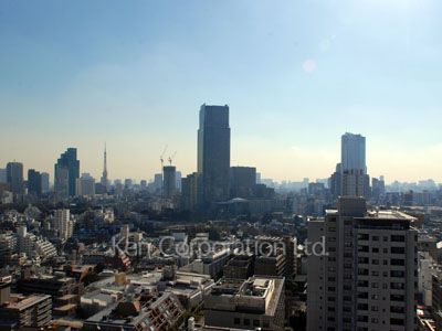 青山第一マンションズの写真 眺望