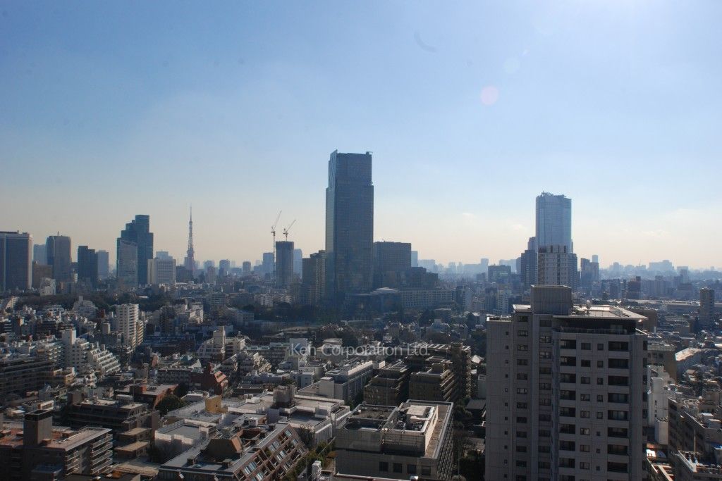 青山第一マンションズの写真 眺望