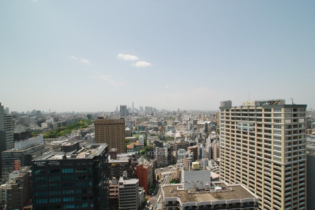 ラ・トゥール千代田の写真 眺望（居室から）