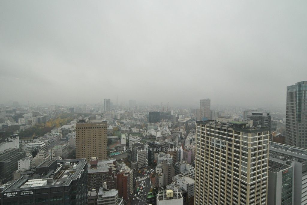 ラ・トゥール千代田の写真 眺望（居室から）