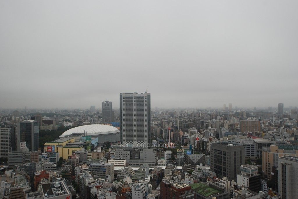 ラ・トゥール千代田の写真 眺望（居室から）