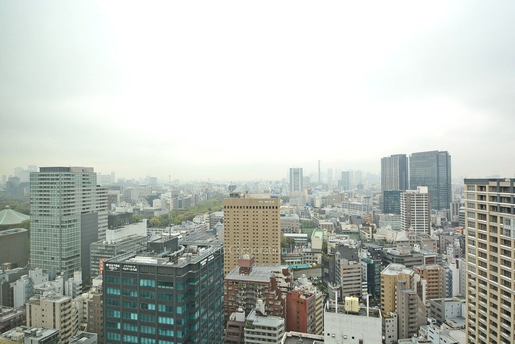 ラ・トゥール千代田の写真 眺望（居室から）