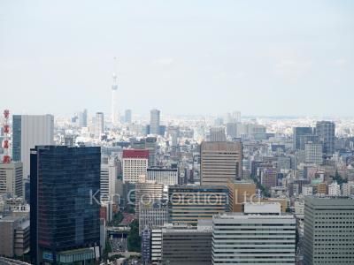 ラ・トゥール汐留の写真 眺望（居室から）