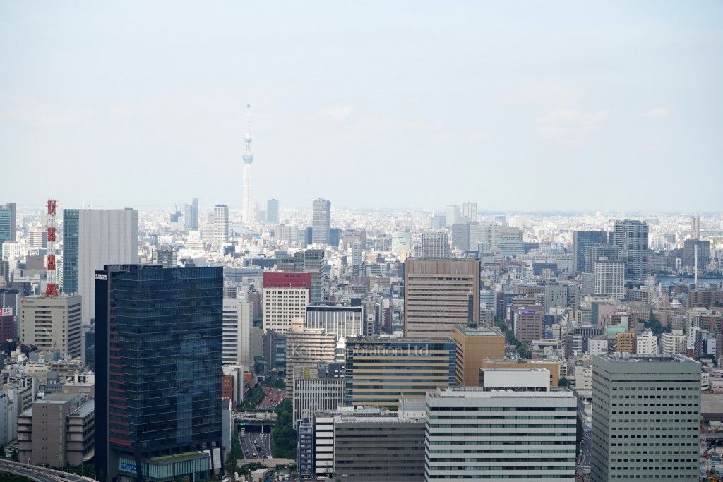 ラ・トゥール汐留の写真 眺望（居室から）