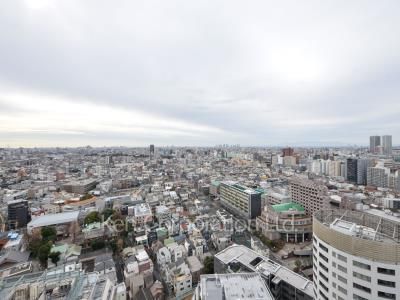 シティタワー大崎ステーションフロントの写真 眺望（居室から）