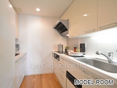 オパス有栖川テラスアンドレジデンスの写真 キッチン