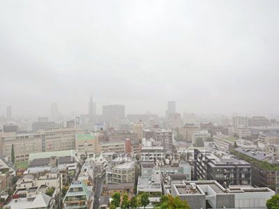 二番町パークフォレストの写真 眺望