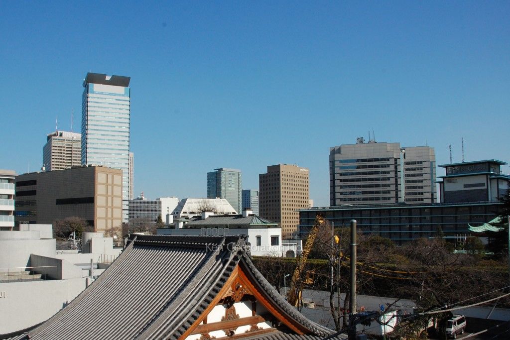 Blossom Terraceの写真 眺望