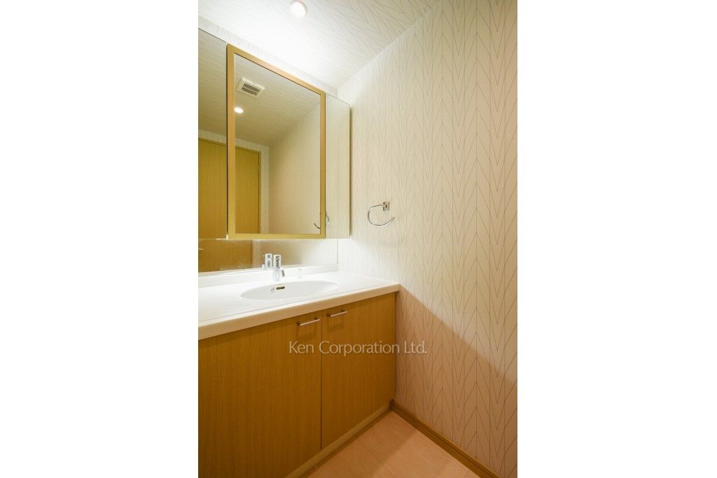 レジディアタワー乃木坂の写真 パウダールーム