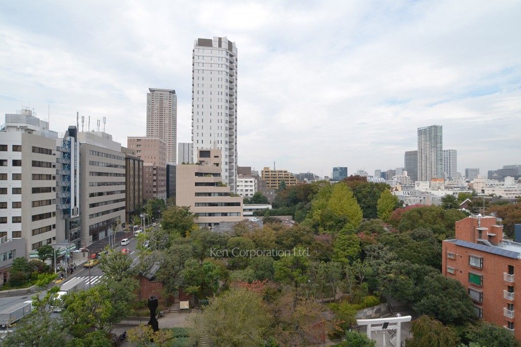 レジディアタワー乃木坂の写真 眺望
