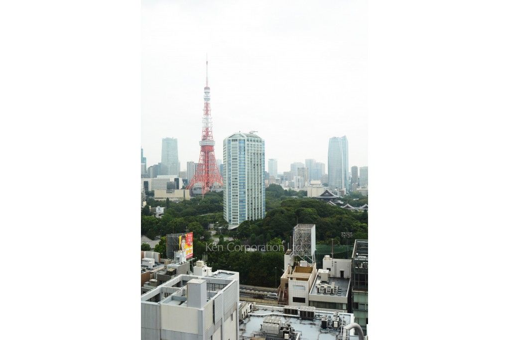 パークハウス芝タワーの写真 眺望