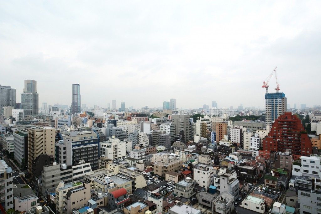 パークハウス芝タワーの写真 眺望