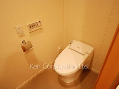 ラ・トゥール千代田の写真 トイレ