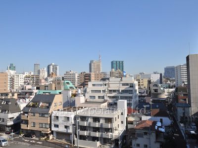 プラチナコート南麻布の写真 眺望