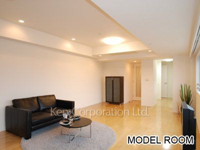 パークルージュ赤坂檜町の写真 居室（LDなど） ※14階の同じ間取タイプを撮影。仕様が異なることがあります。