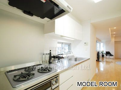 パークルージュ赤坂檜町の写真 キッチン ※14階の同じ間取タイプを撮影。仕様が異なることがあります。