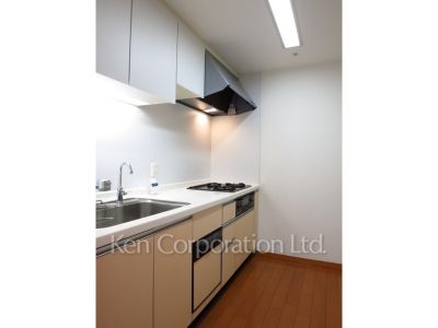 THE パームス代々木上原コスモテラスの写真 キッチン ※写真・画像は実際と異なる場合がございます。部屋写真は同一タイプのものです。（ただし、画像中にタイプ名の記載がある場合はその記載内容を優先します。）