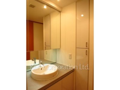 THE パームス代々木上原コスモテラスの写真 パウダールーム ※写真・画像は実際と異なる場合がございます。部屋写真は同一タイプのものです。（ただし、画像中にタイプ名の記載がある場合はその記載内容を優先します。）