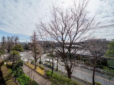 深沢ハウスの写真 眺望（居室から）