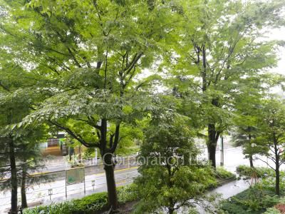 眺望（居室から）