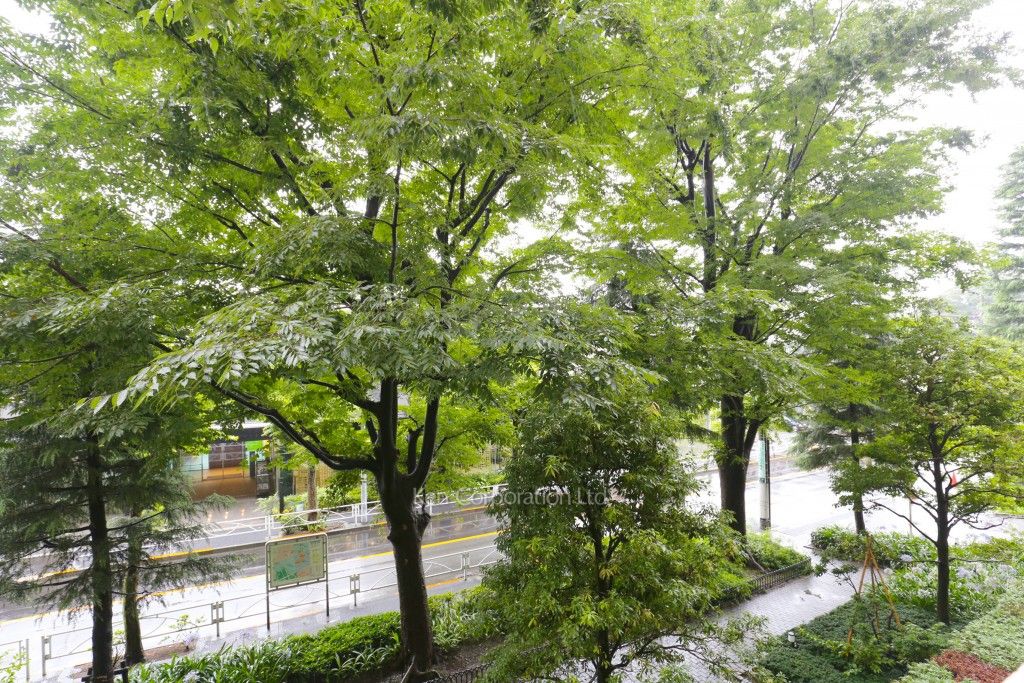 眺望（居室から）