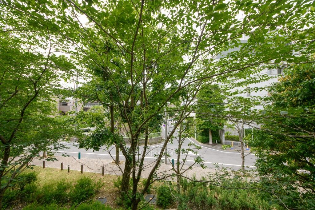 眺望（居室から）