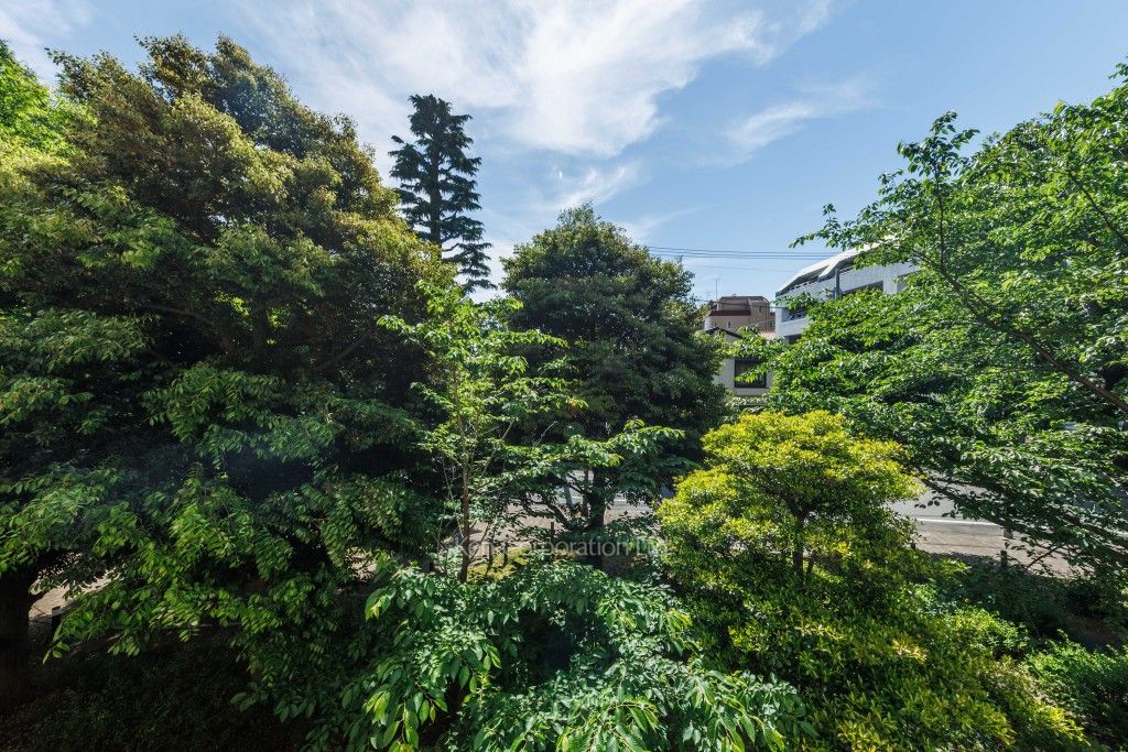 深沢ハウスの写真 眺望（居室から）