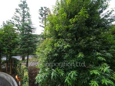 深沢ハウスの写真 眺望（居室から）