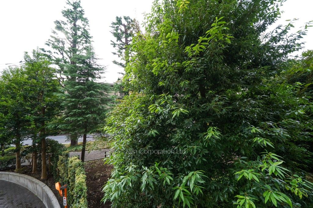 深沢ハウスの写真 眺望（居室から）