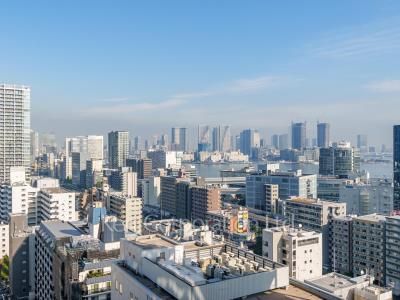 パークタワー芝浦ベイワード アーバンウイングの写真 眺望（居室から）