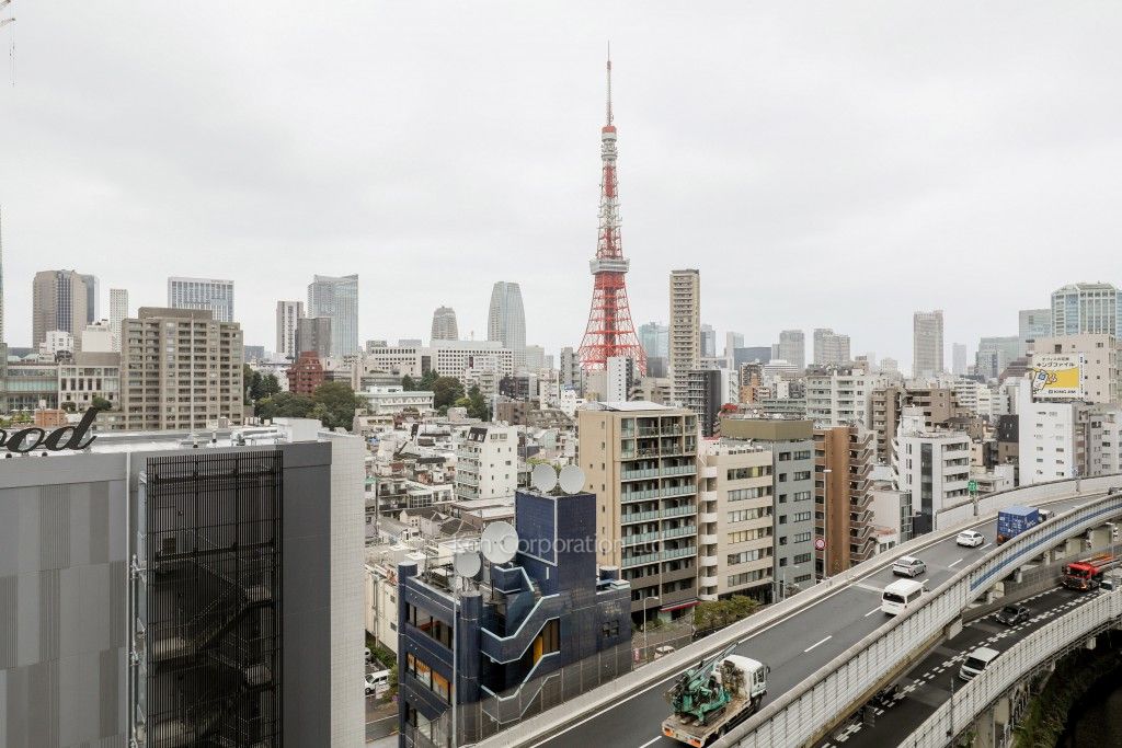 レジディアタワー麻布十番の写真 眺望（居室から）