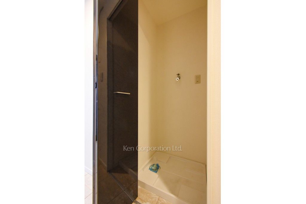 レジディアタワー麻布十番の写真 洗濯機置き場